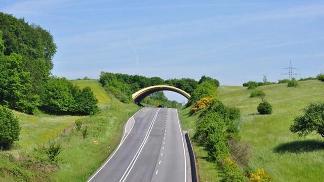 6 jambatan kreatif dan unik yang memudahkan perjalanan hidupan liar, malaysia turut tersenarai..