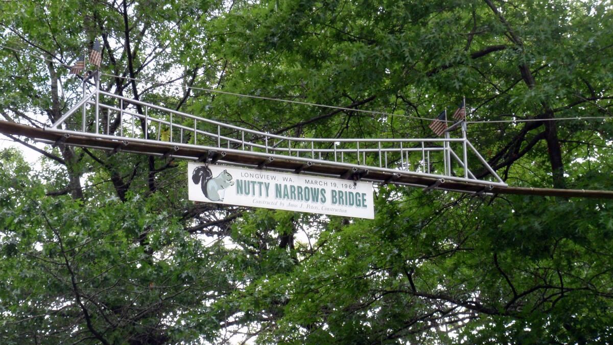 6 jambatan kreatif dan unik yang memudahkan perjalanan hidupan liar, malaysia turut tersenarai..