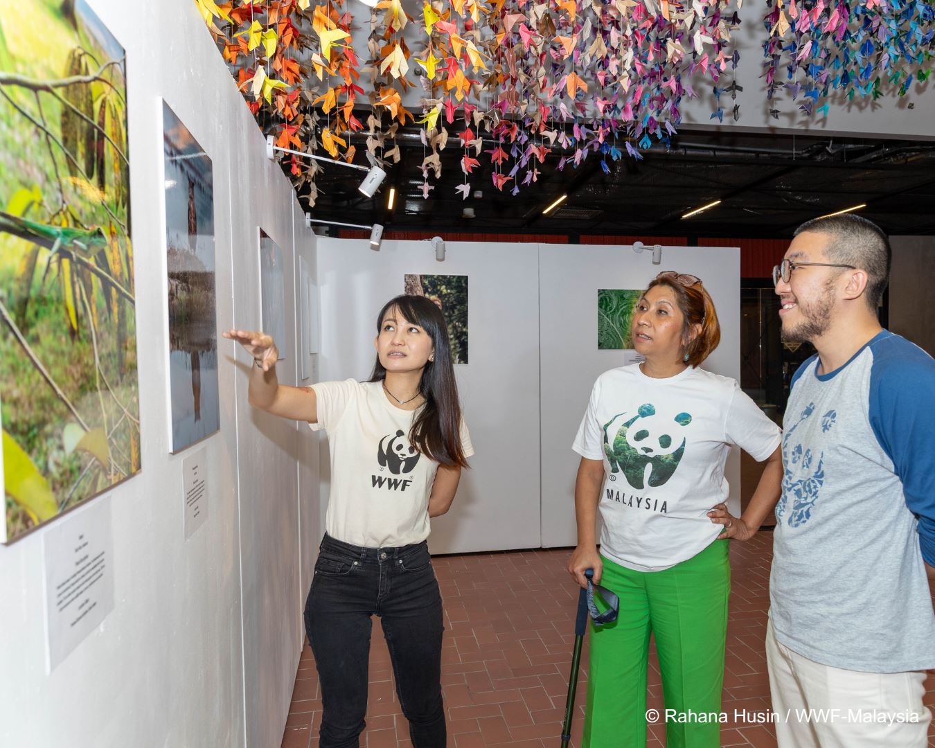 wwf-malaysia’s “eyes on the wild” contest drives wildlife conservation awareness through photography