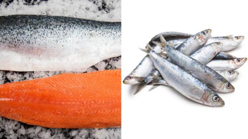 ini sebab kenapa ikan jauh lebih hebat daripada ayam & daging!