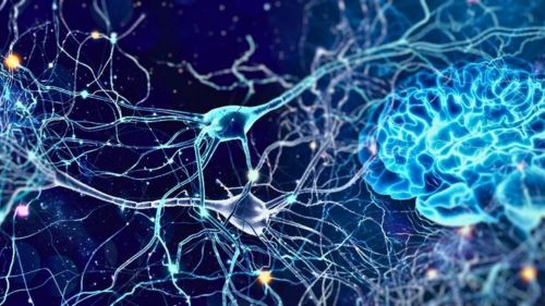 ramai tak tahu! tabiat 1 minit ini boleh buat otak anda jadi lebih bijak & tajam dalam diam!