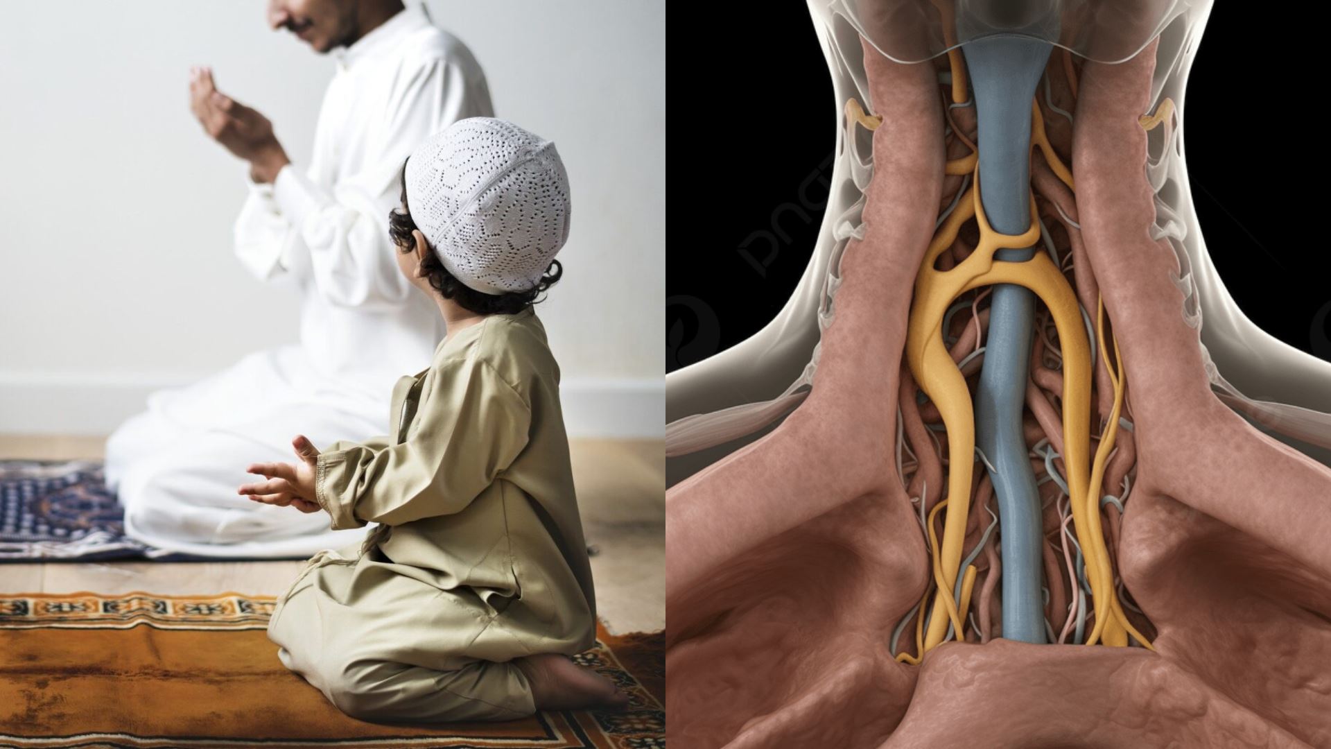 mengapa allah mengibaratkan kedekatan-nya seperti urat leher kita?