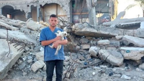 doktor haiwan syahid ketika gencatan senjata, zionis bunuh dr. mu’ath abu rukba