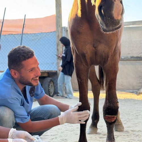 doktor haiwan syahid ketika gencatan senjata, zionis bunuh dr. mu’ath abu rukba