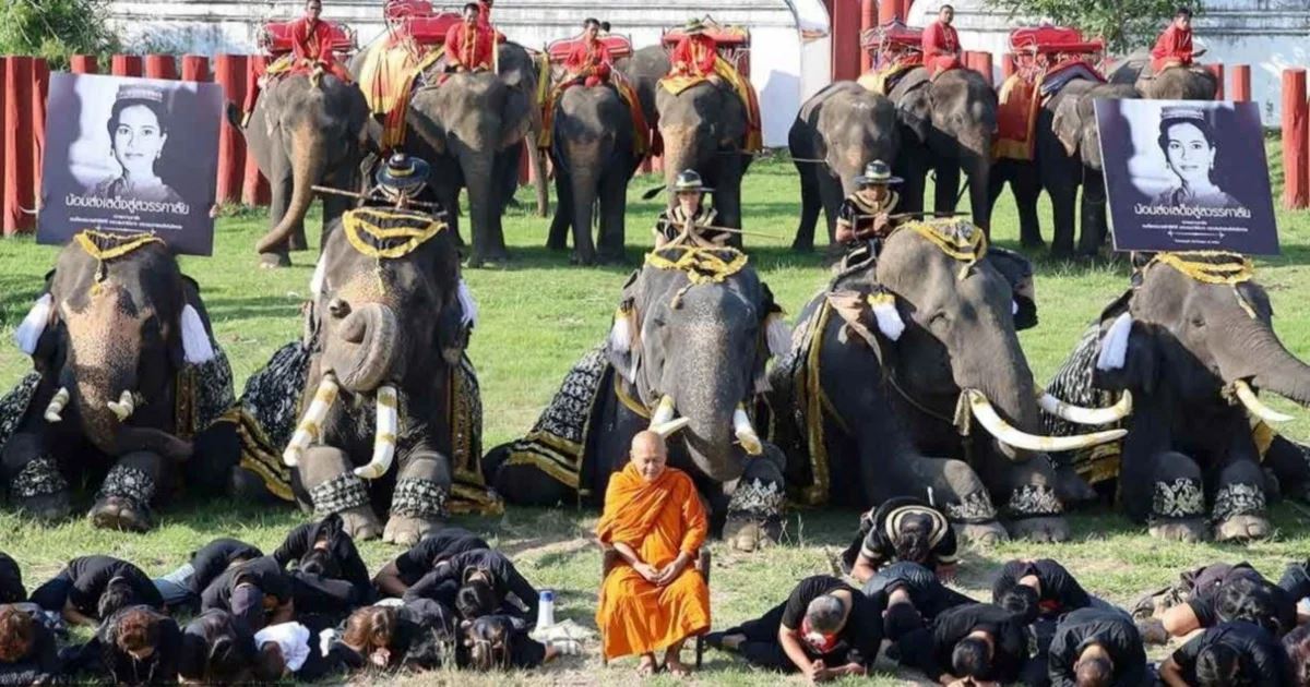 gajah turut beri penghormatan atas kemangkatan ratu bonda sirikit
