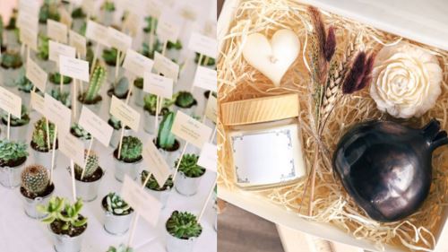 [video] comel tetapi salah: jadikan haiwan sebagai ‘door gift’ satu kesalahan undang-undang