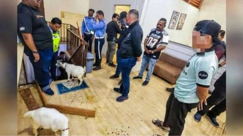 restoran mi segera jadi mini zoo, pelanggan tidak tahan bau najis haiwan