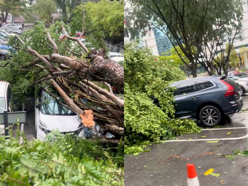 check the weather before heading out! storm and flood safety tips for malaysians