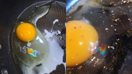 jangan makan! telur berkilat dalam kuali petanda pseudomonas sedang ‘berpesta’