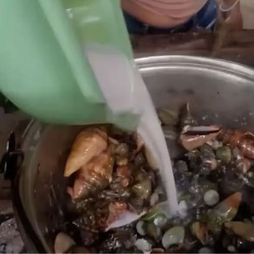 demi view, nyawa melayang! vlogger maut lepas makan ‘devil crab’ beracun