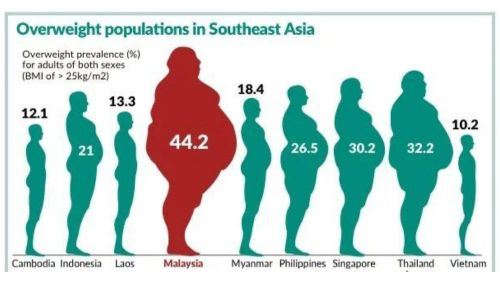 malaysia paling ‘berisi’ di asia tenggara, no.1 dalam carta kegemukan!