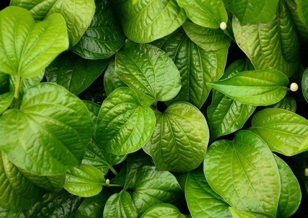 mak-mak zaman dulu punya petua, masih relevan atau sekadar nostalgia?