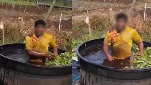 [video] lelaki berang warga asing cuci sayur dalam tangki air, netizen persoal tahap kebersihan