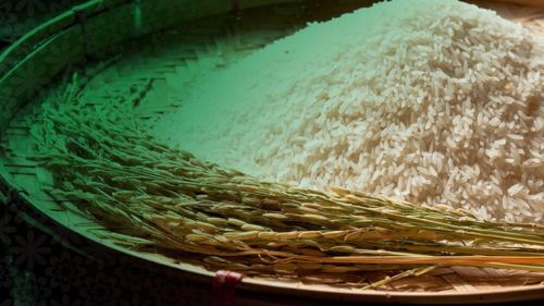 tertinggal puasa atas sebab tertentu? ramai tak sangka jumlah fidyah sama dengan secupak beras!