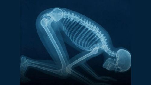 sujud: rahsia ketenangan tubuh & jiwa yang disahkan sains moden