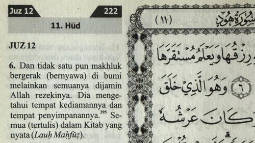 rasa rezeki sempit? baca ayat surah hud ini, peringatan kuat tentang jaminan rezeki daripada allah