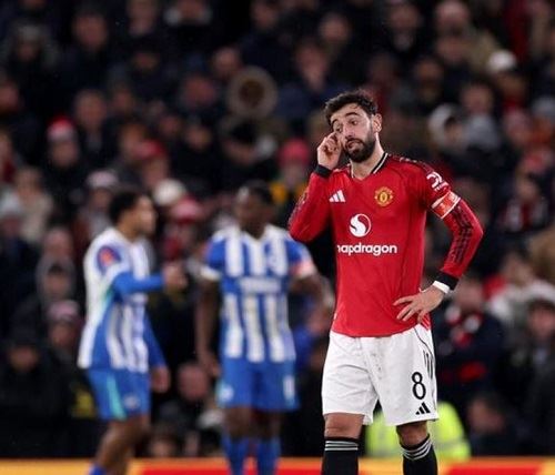 brighton knock man utd out of the fa cup