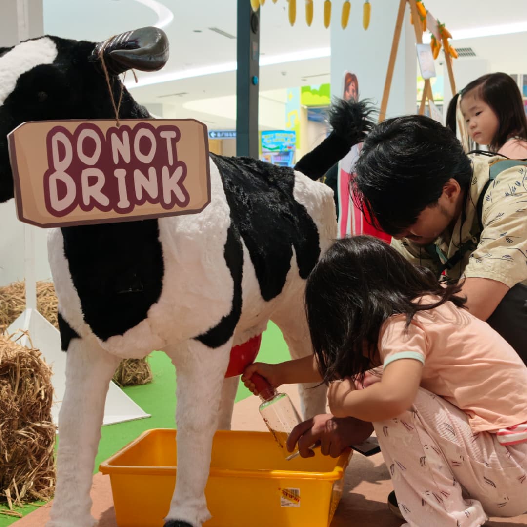 cow milking activity at klgcc mall