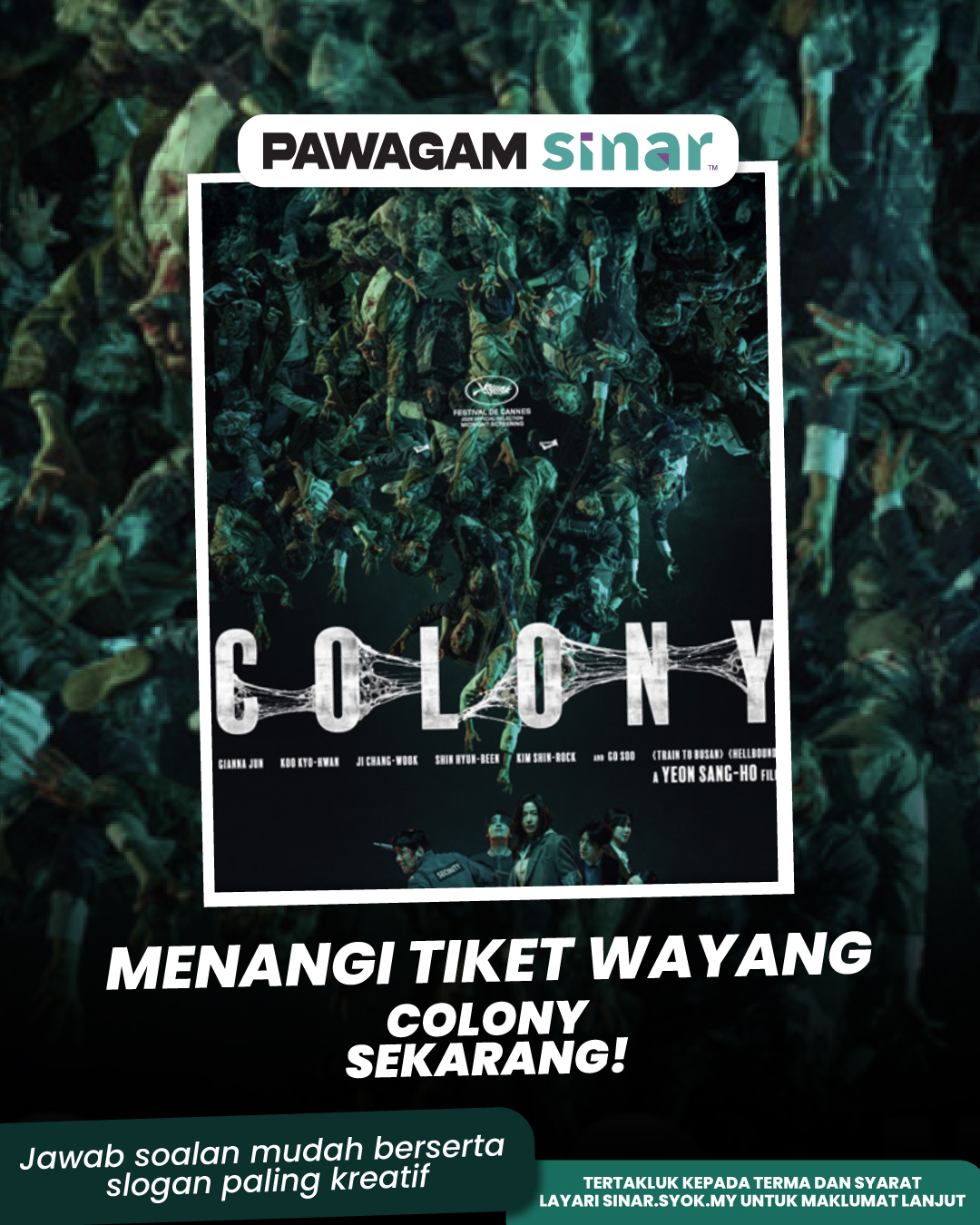 colony