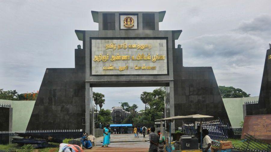 பறவைக் காய்ச்சலால் பறவைகள் உயிரிழந்தது உறுதி செய்யப்பட்டதால் வண்டலூர் உயிரியல் பூங்கா 2 நாட்கள் மூடப்பட்டது (கோப்புப் படம்)